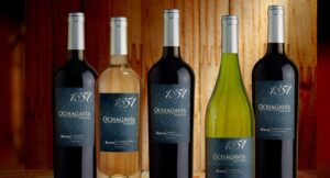 Rượu vang chile Ochagavia 1851 Reserva