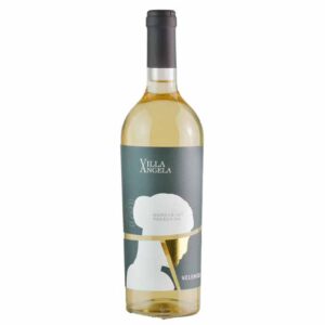Rượu vang Villa Angela Passerina làm dòng rượu vang ý cấp độ IGT. Villa Angela Marche IGT Passerina Velenosi là loại rượu hấp dẫn và sống động